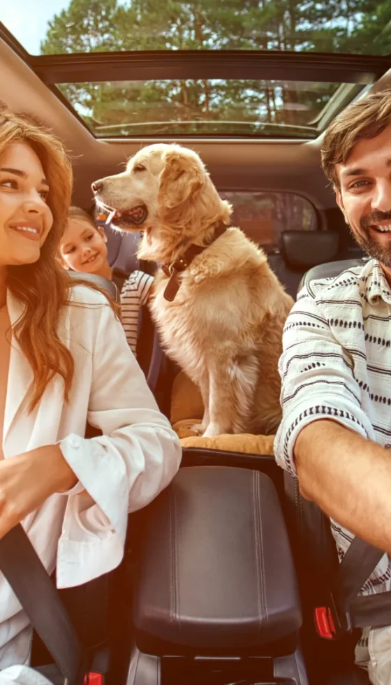 Mom and Dad with their daughter and their dog in the car safely traveling on a road trip