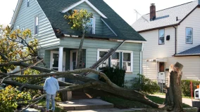 Damaged home from tree collapse due to stormy weather.