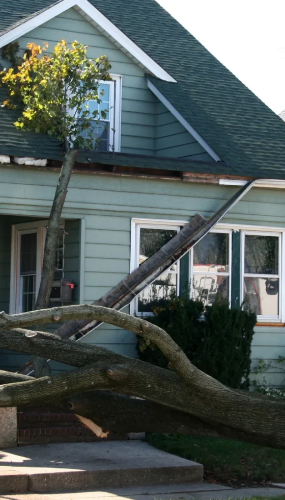 Damaged home from tree collapse due to stormy weather.