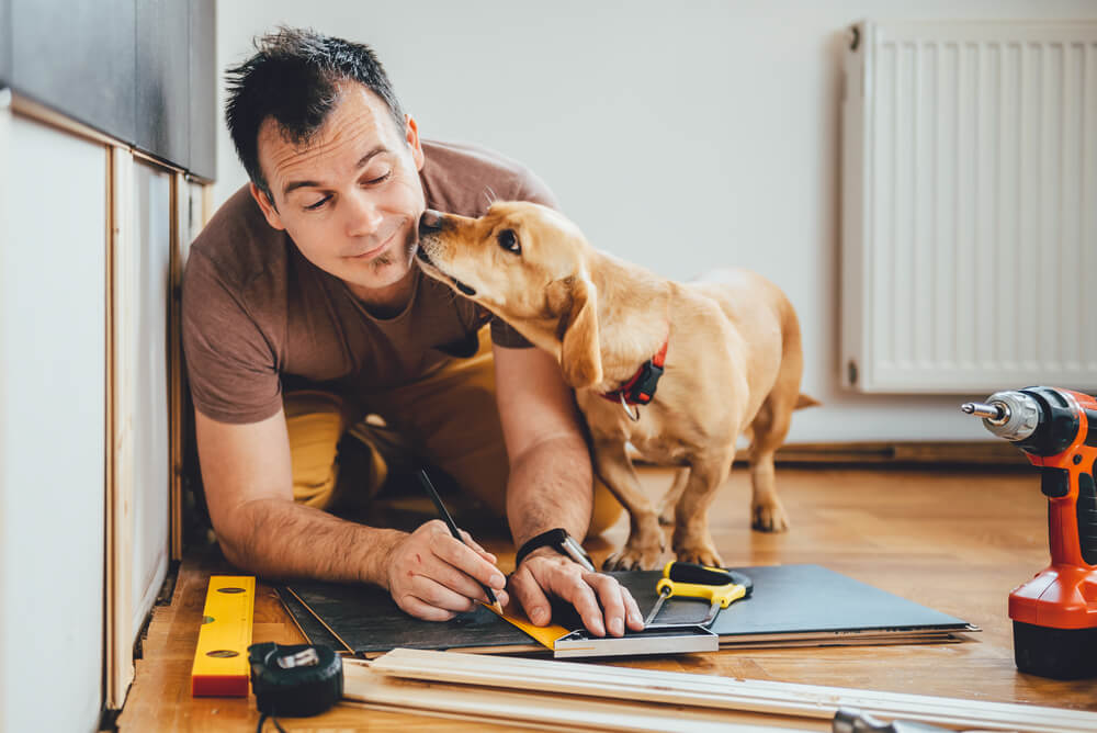 Man working on home renovations gets licked in the face by his dog - cheap home insurance.