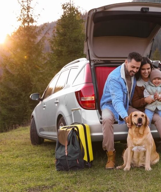 Couple with their dog sitting on the tailgate of their mini van having a picnic - cheap car insurance.