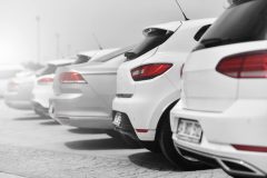 Line of white cars - cheap car insurance.