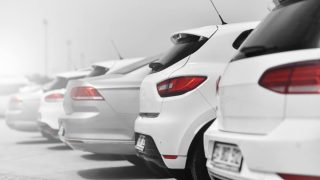 Line of white cars - cheap car insurance.