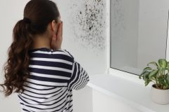 Dismayed woman finds a patch of black mold on her wall.