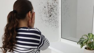 Dismayed woman finds a patch of black mold on her wall.