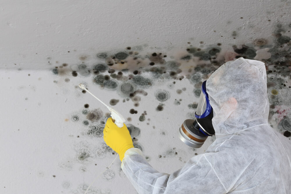Man in hazmat suit sprays walls and ceiling for black mold growth.