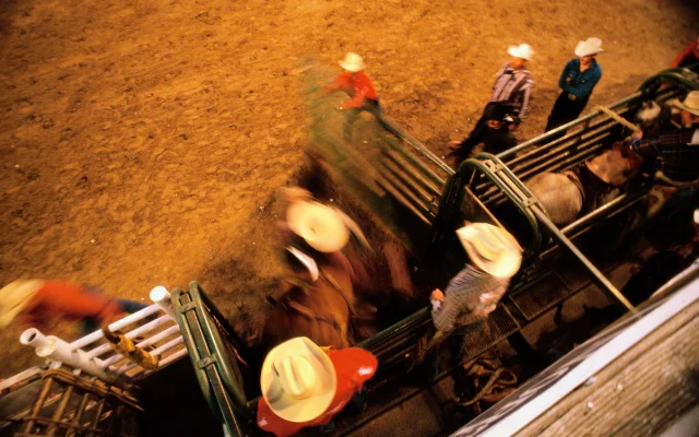 A group of cowboys watch as a contestant leaves the chute in a rodeo competition – Pampa, cheap car insurance in Texas