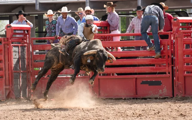 Texan cowboys watch as a bull rider attempts to hang on when the bull leaps out of the gate – Paris, cheap car insurance in Texas