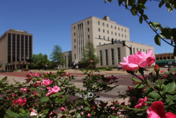 Pink roses with Smith County Courthouse Tyler, TX in background – Tyler, cheap car insurance in Texas